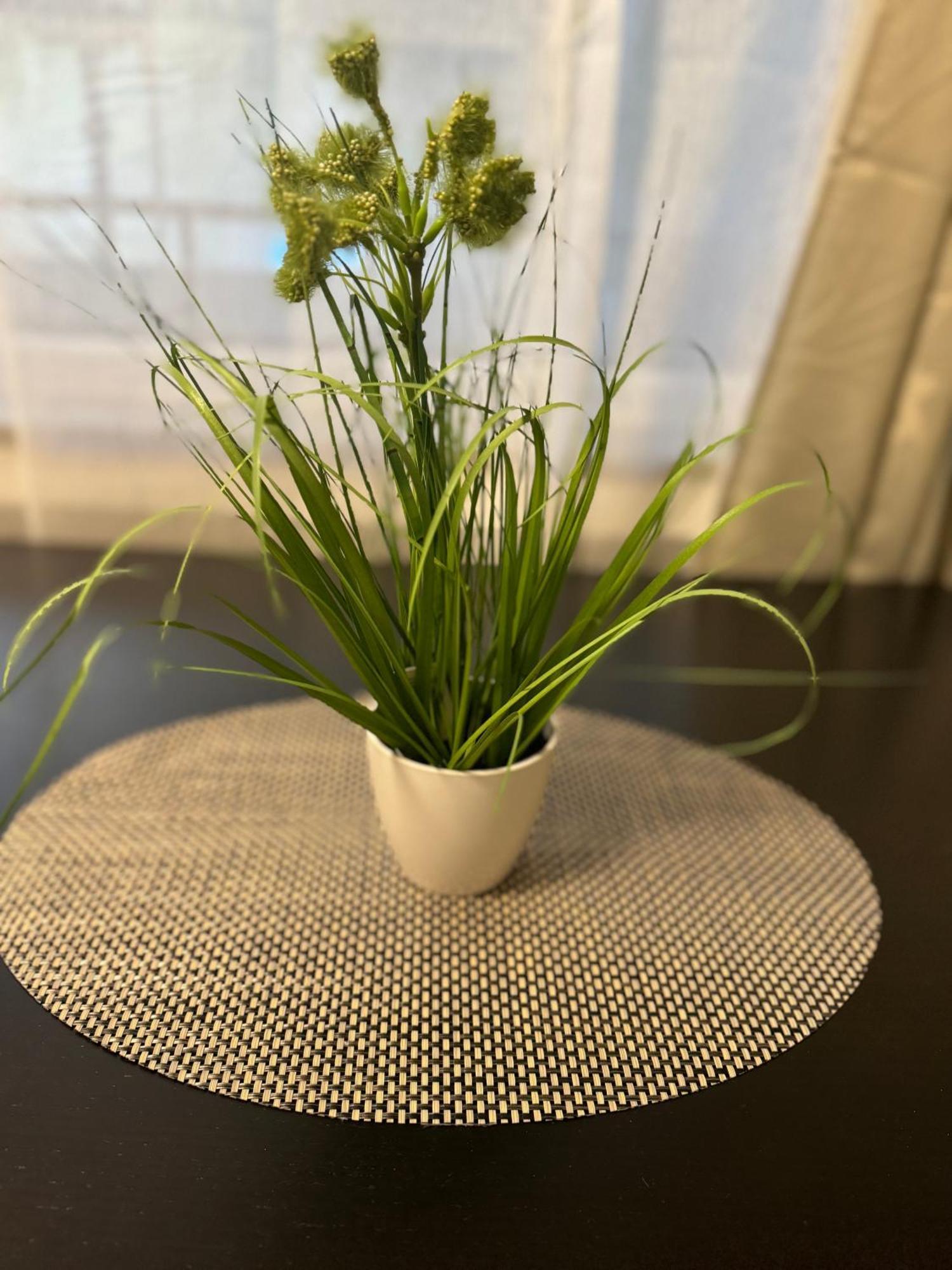 M&Bluxux Apartaments Krefeld Exteriör bild